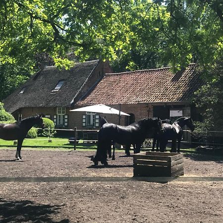 De Swaenhoeve Zoersel Eksteriør billede